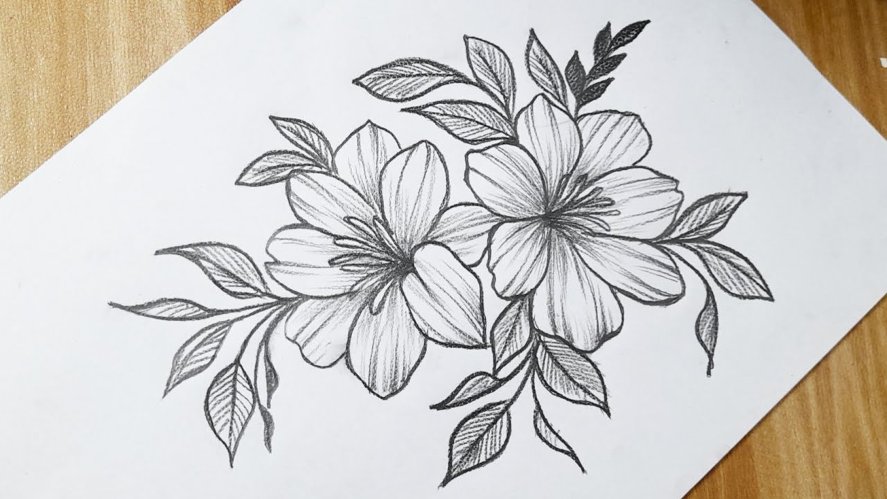 Flower-Sketches