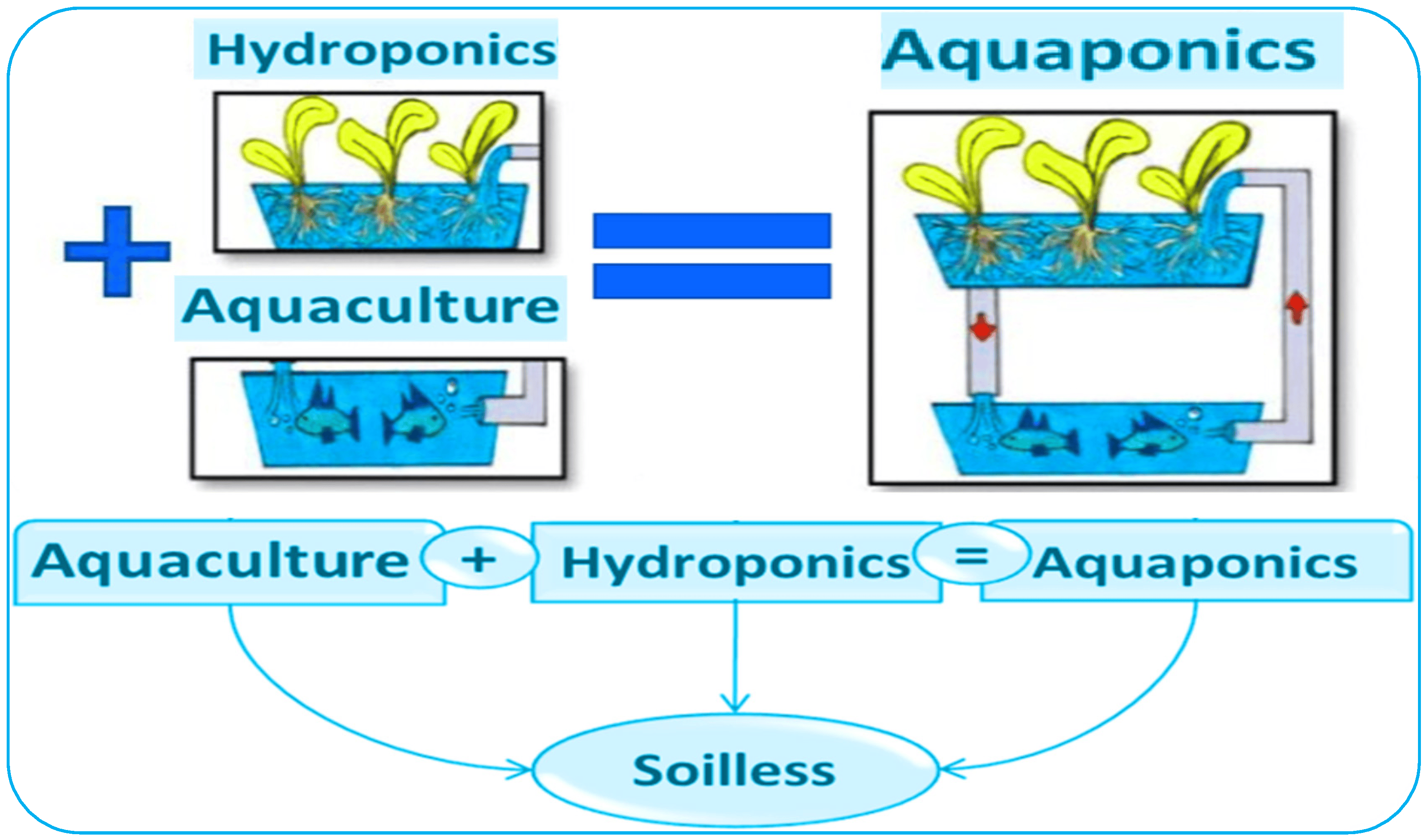 Aquaponics-Fish-Tank